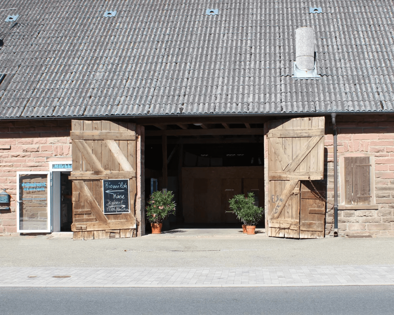 Unsere Kühe auf der Weide